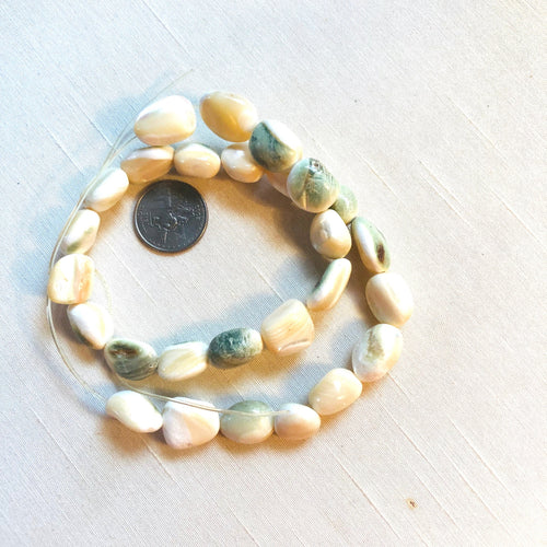 Shell Beads Eye Of Buddah Rare Vintage